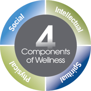 4 Components of Wellness | 81 Oaks